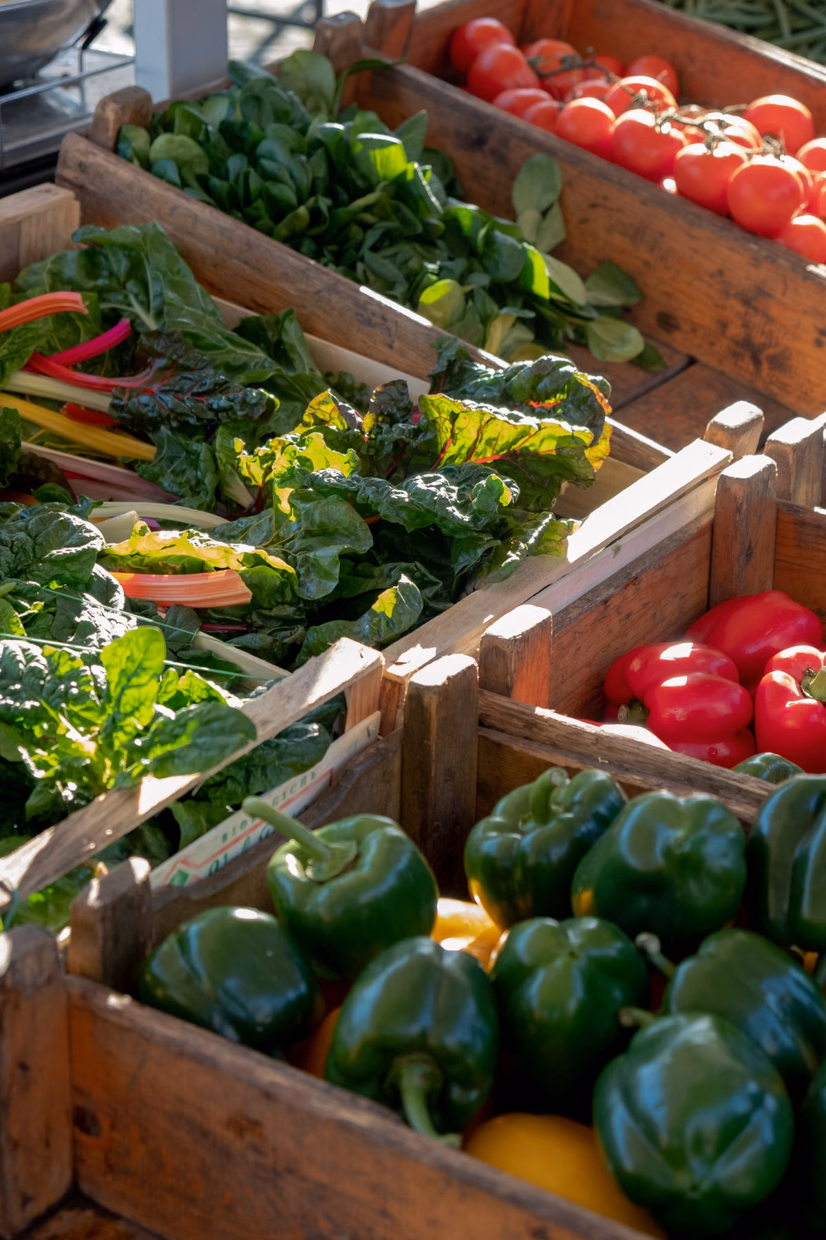 Fresh colorful produce — food and beverage sourcing by Vincaro